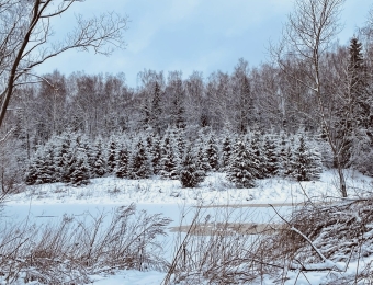 photo_2025-12-28_14-28-39